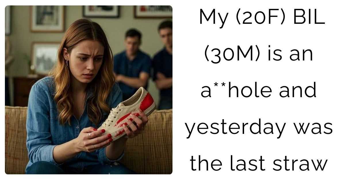 My (20F) BIL (30M) is an a**hole and yesterday was the last straw